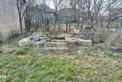 Spațiu comercial, în Micula - 7