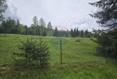Teren agricol extravilan de 5034 mp, în Iacobeni - 3
