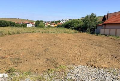 Teren de 650 mp, în Șura Mare