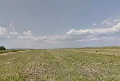 Teren de 6390 mp, în Cernătești - 4