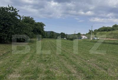 Teren intravilan, 5.800 mp, zona Ca?cau - 6