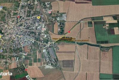 Teren de 80000 mp, în Sud - 1