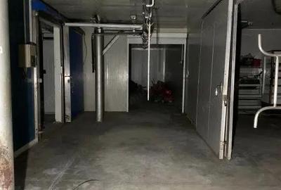 Spațiu comercial, de 500 mp, în Buziaș - 14