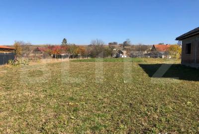 Teren de 1481 mp, în Central