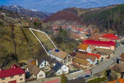 Casă cu 9 camere cu Teren 443 Mp în Poiana Mărului - 3