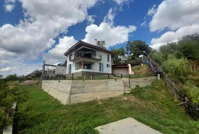 Casa de vacanta superba cu vedere la Dunare - Topalu, Constanta - 13