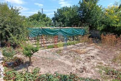 Casa de vacanta, Cazasu cu suprafata generoasa teren 824mp - 12