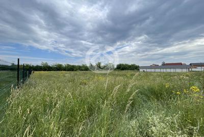 Teren Construcții intravilan de 3100 mp, în Cristian - 1