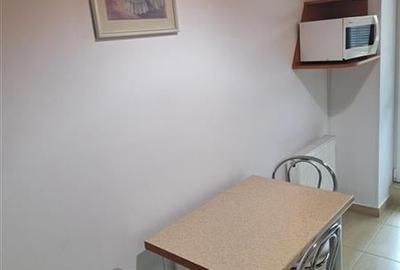Inchiriere apartament 2 camere Carol City-Park - 9