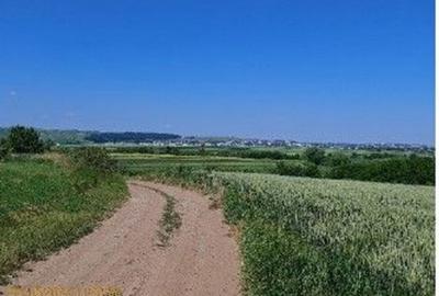 Teren de 1300 mp, în Bosanci - 2