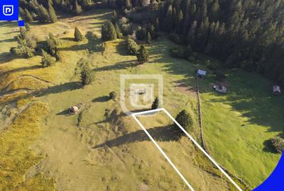 Teren Construcții extravilan de 3197 mp, în Vest - 5