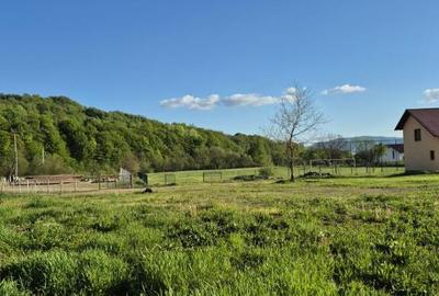 Fauresti, casa, 31 ari teren - 4