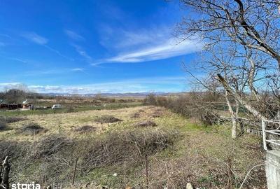 Teren de 2887 mp, în Budești - 5