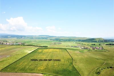 Teren Bod - ideal dezvoltare cartier rezidential - 2