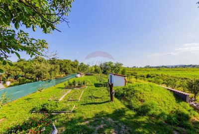 MERISOR - proprietate de vanzare - 2