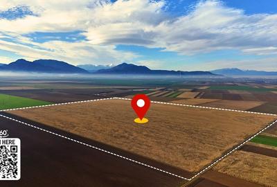 Spațiu comercial, în Prejmer - 9