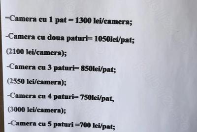 Spațiu comercial, de 3,600 mp, în Vitan - 1
