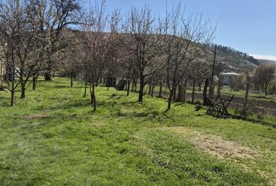 Spațiu comercial, în Luna - 5