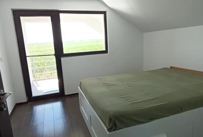 Casă individuală cu 2 camere cu Teren 500 Mp în Mlenăuți - 12