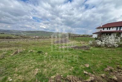 Teren agricol extravilan de 2000 mp, în Daia
