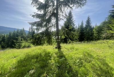 Teren de vanzare Colibita ! EXCLUSIVITATE! - 3