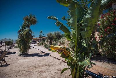 Apartament decomandat în Sud - 1