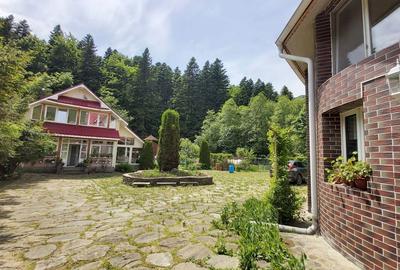 Vanzare 2 vile 40 locuri cazare la munte langa padure si rau teren mare Cheia PH - 1