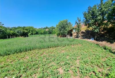 Casă cu 4 camere cu Teren 1439 Mp în Central