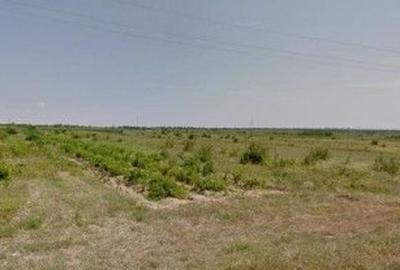 Teren extravilan cota parte 1/3 Cernatesti , ID: R2586146 - 5