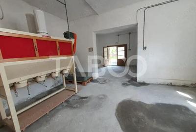 Moara + casa de locuit 375 mp utili 7350 mp teren intravilan - 1