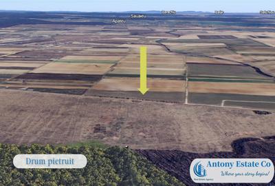 Oportunitate de investitie - Teren Cihei, langa Padurea Nojo - 8