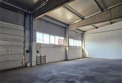 Depozit/hala/spatiu industrial Domnesti - Clinceni - Bragad - 12