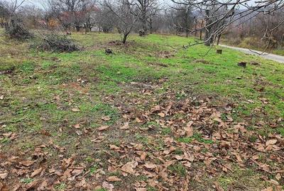 RECO Teren  in Oradea - 7