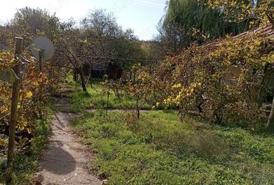 Casă cu 3 camere în Central - 2