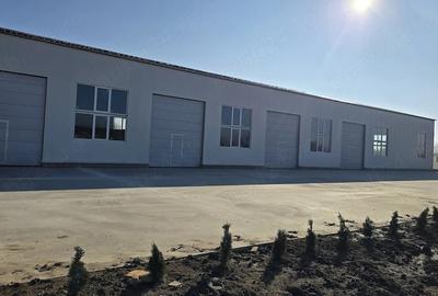 Spațiu comercial, de 500 mp, în Giurgiului - 3