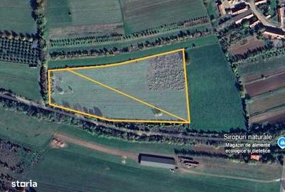 Teren de 17000 mp, în Râmeț