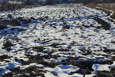 Teren de 3500 mp, în Brădăcești - 3