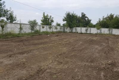 Teren intravilan 5000 mp, deschidere 70 m, Frumusani - DN4, iesire A0 si Centura - 13