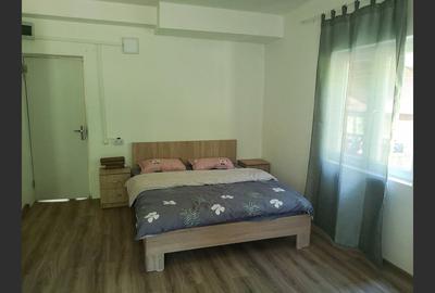 Casa de vacanta perfecta pe malul Cernei - 12