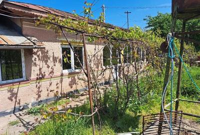 Casă cu 5 camere cu Teren 2000 Mp în Greaca - 8