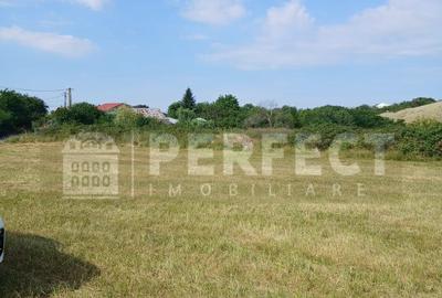 Teren 5590 mp INTRAVILAN Baicoi pret 17 euro/mp - 6