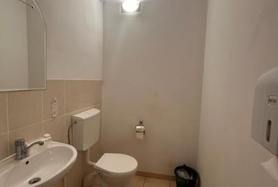 Inchiriere casa/vila pentru spatiu birouri, 179 mp., 1500 Eur, Marasti - 26