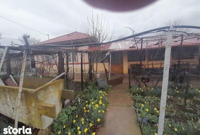 Casă cu 6 camere cu Teren 1760 Mp în Măldăeni - 10
