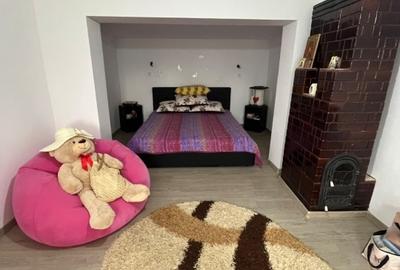 Casă individuală cu 3 camere cu Teren 4521 Mp în Românești - 3