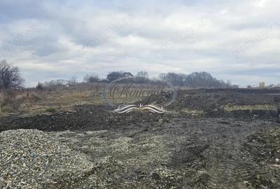 Teren in curs de autorizare in Faget - 9