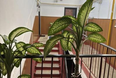 Apartament cu 4 camere semidecomandat în Central - 7
