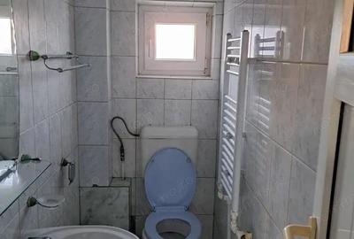 OFERTA in Bacia, Hunedoara ! Proprietate 2 case + Cabana + Livada - 15