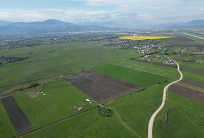 Teren de 8600 mp, în Stupini - 6
