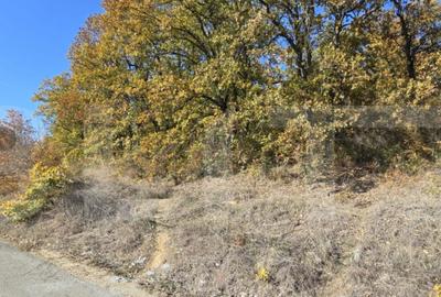 Oportunitate! 10 hectare de Padure in Satul de Vacanta Poda - 1