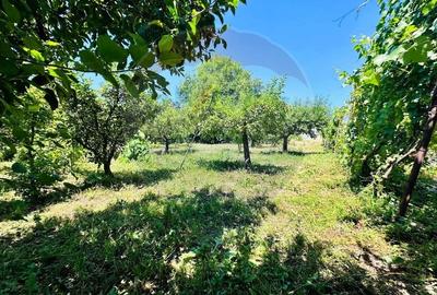 Casa cu Toate Utilitatile,Vedere Panoramica,Livada-Stefanesti, Arges - 34